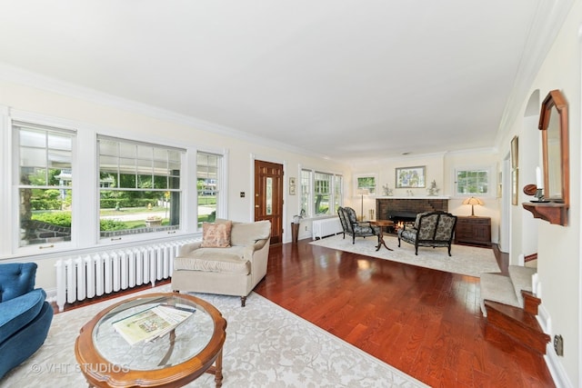 571 N Main St, Glen Ellyn, IL 60137 - living area featuring radiator heating unit, wood finished floors, a brick fireplace, and ornamental molding