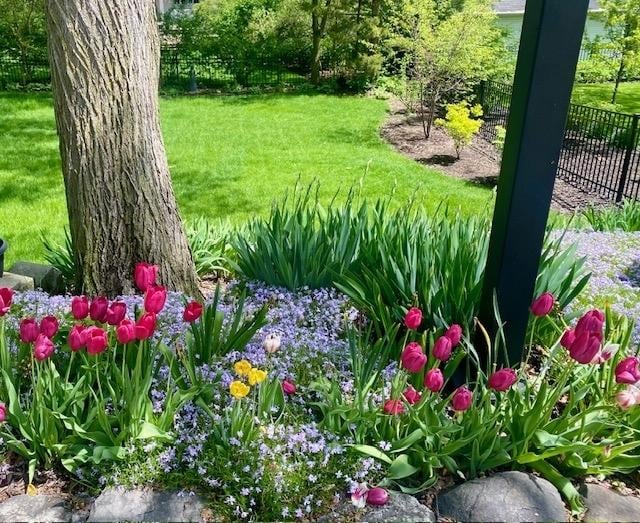571 N Main St, Glen Ellyn, IL 60137 - view of yard