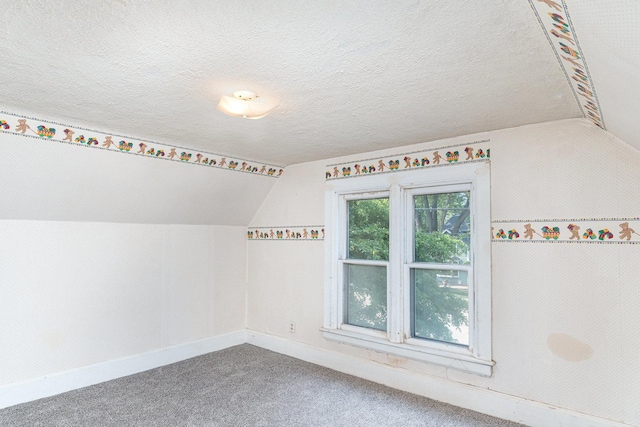 432 E Elm St, Sycamore, IL 60178 - additional living space with vaulted ceiling, carpet, and a textured ceiling