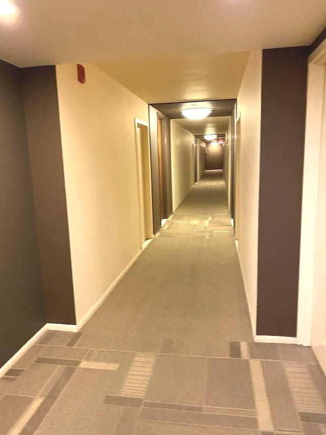 6033 N Sheridan Rd Unit 11L, Chicago, IL 60660 - corridor featuring carpet floors