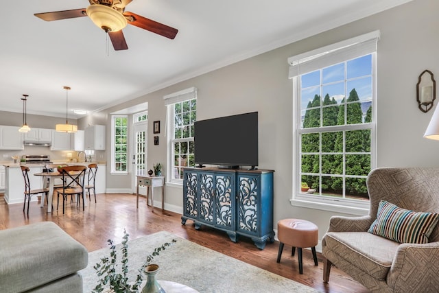 1312 Dorchester Dr, Mundelein, IL 60060 - living room with ornamental molding, wood finished floors, and ceiling fan