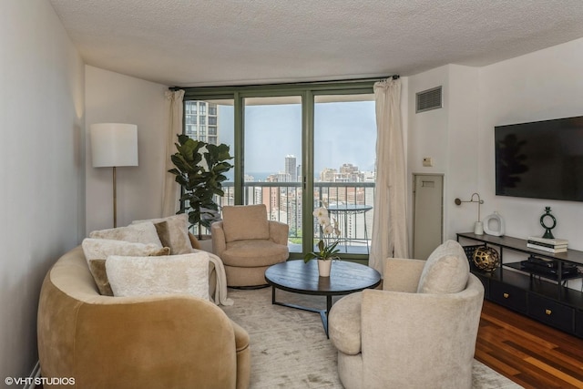 111 W Maple St Unit 2803, Chicago, IL 60610 - living room featuring wood finished floors and a textured ceiling