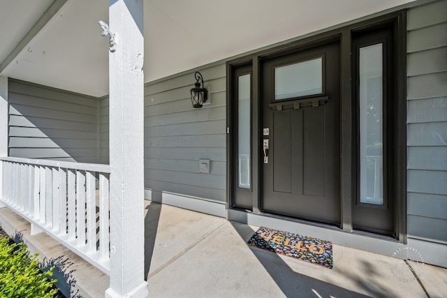 342 Dilorenzo Dr, Naperville, IL 60565 - entrance to property with covered porch