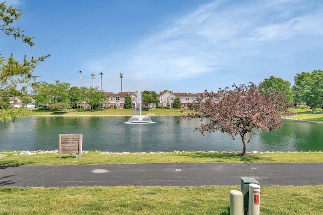 5011 Elmira Ct, Plainfield, IL 60586 - water view