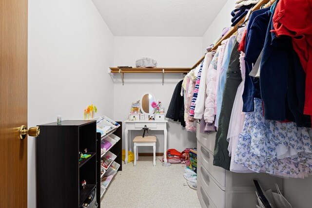 5555 Raspberry Trl, Rockford, IL 61114 - spacious closet featuring carpet floors