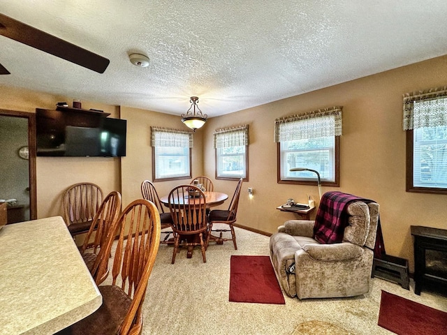801 Saint Charles St, Beaverville, IL 60912 - photo 9