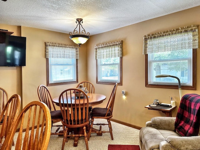 801 Saint Charles St, Beaverville, IL 60912 - photo 10