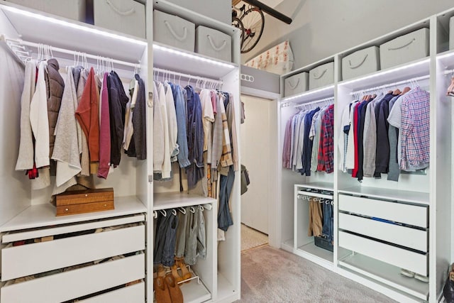 2511 W Moffat St Unit 501, Chicago, IL 60647 - spacious closet with carpet