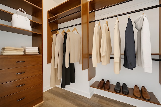 100 E 14th St Unit 2007, Chicago, IL 60605 - walk in closet with dark wood finished floors