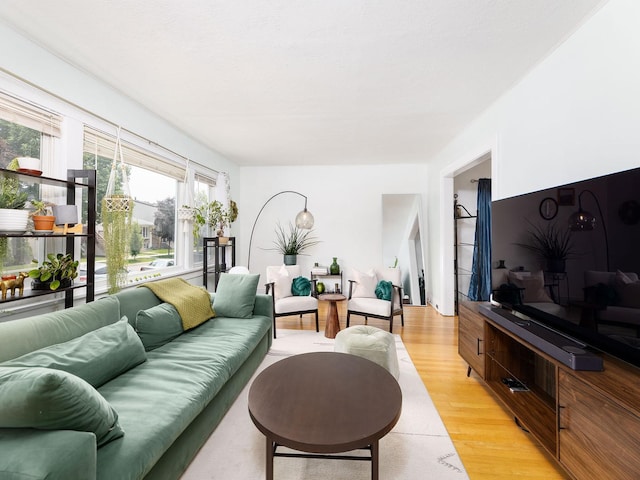 4130 N Oketo Ave, Norridge, IL 60706 - living room featuring light wood finished floors