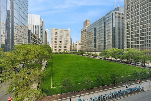 680 N Lake Shore Dr Unit 321, Chicago, IL 60611 - surrounding community featuring a city view