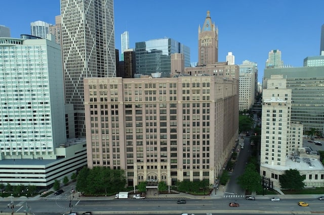680 N Lake Shore Dr Unit 321, Chicago, IL 60611 - view of city skyline