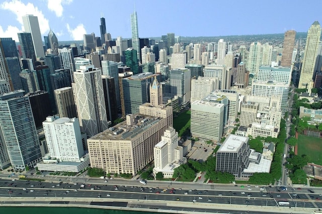 680 N Lake Shore Dr Unit 321, Chicago, IL 60611 - view of city skyline