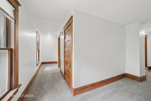 2S234 Harter Rd, Elburn, IL 60119 - corridor with carpet floors and baseboards