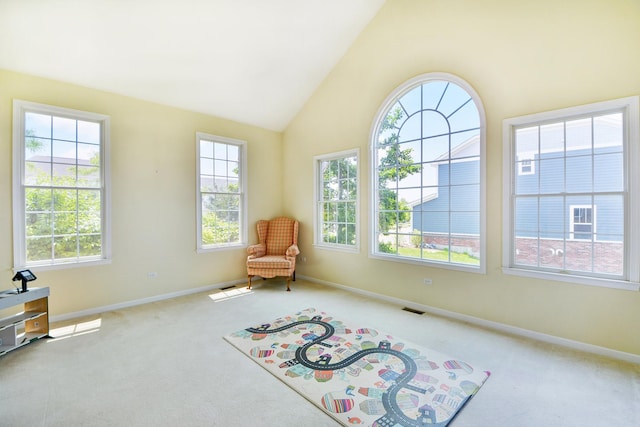 40 Open Pkwy N, Hawthorn Woods, IL 60047 - unfurnished room with carpet floors and high vaulted ceiling