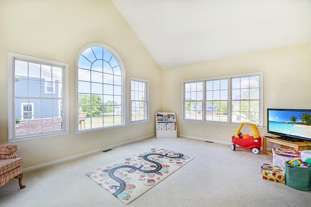 40 Open Pkwy N, Hawthorn Woods, IL 60047 - recreation room with carpet floors and high vaulted ceiling