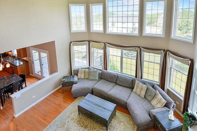 40 Open Pkwy N, Hawthorn Woods, IL 60047 - living area featuring wood finished floors, plenty of natural light, and a high ceiling