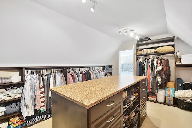 40 Open Pkwy N, Hawthorn Woods, IL 60047 - walk in closet featuring vaulted ceiling and light colored carpet