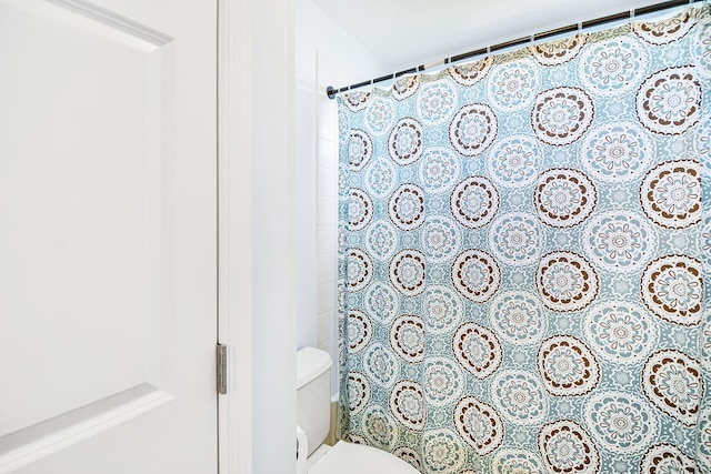 40 Open Pkwy N, Hawthorn Woods, IL 60047 - bathroom with toilet and a shower with shower curtain