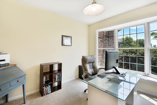 40 Open Pkwy N, Hawthorn Woods, IL 60047 - carpeted office space featuring baseboards