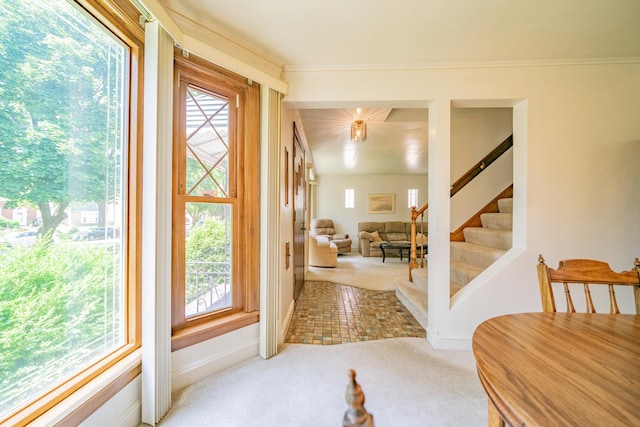 3009 N 78th Ct, Elmwood Park, IL 60707 - foyer entrance with light colored carpet, plenty of natural light, and stairway