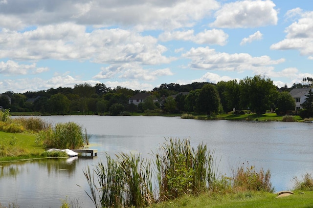 731 Queens Gate Cir, Sugar Grove, IL 60554 - water view