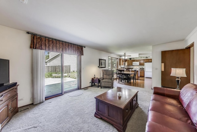 3513 Regent Dr, Hoffman Estates, IL 60067 - photo 11