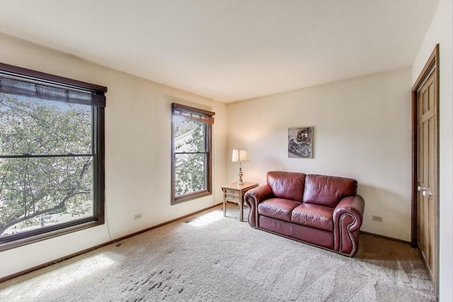 3513 Regent Dr, Hoffman Estates, IL 60067 - photo 19