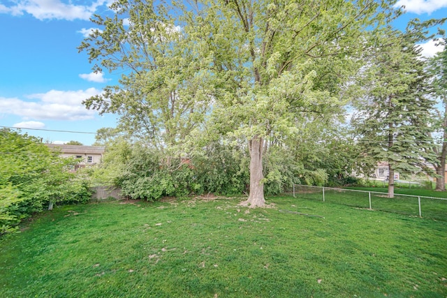 5826 Edward Dr, Oak Forest, IL 60452 - view of yard