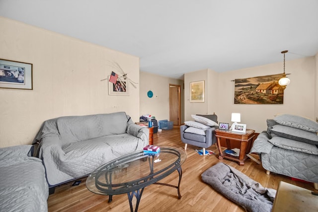 5826 Edward Dr, Oak Forest, IL 60452 - living room featuring wood finished floors