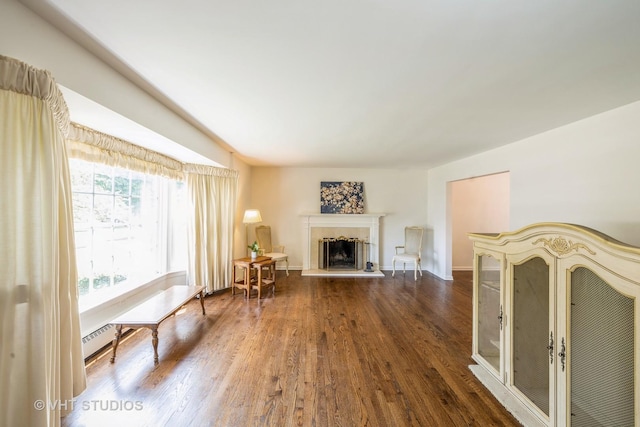 214 S Belmont Ave, Arlington Heights, IL 60005 - living area featuring a fireplace with raised hearth, dark wood-style flooring, and a baseboard heating unit