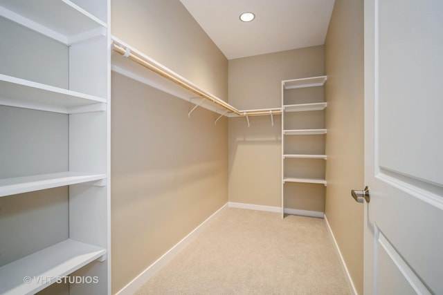2150 Founders Dr Unit P109, Northbrook, IL 60062 - spacious closet featuring light carpet