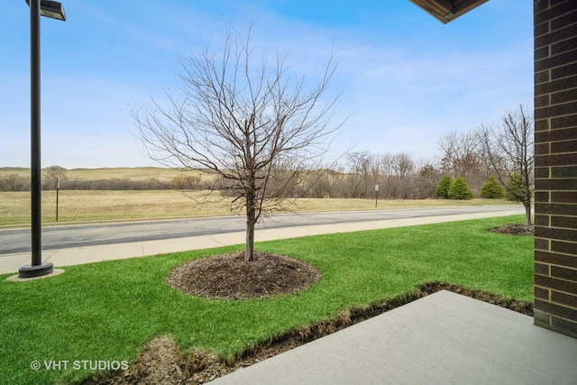 2150 Founders Dr Unit P109, Northbrook, IL 60062 - view of green lawn