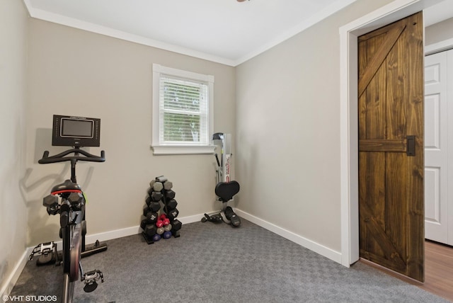 521 Everette Ave, Romeoville, IL 60446 - workout room with ornamental molding and carpet