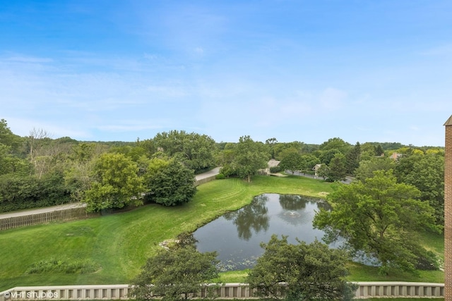 1140 Old Mill Rd Unit 505F, Hinsdale, IL 60521 - water view