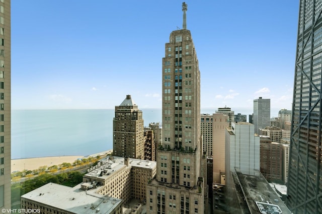 77 E Walton St Unit 24B, Chicago, IL 60611 - photo 49