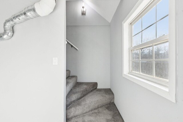 17304 Lathrop Ave, East Hazel Crest, IL 60429 - stairway with vaulted ceiling and carpet floors
