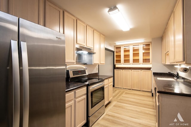101 N Peartree Ln Unit 101, Arlington Heights, IL 60004 - kitchen featuring appliances with stainless steel finishes, under cabinet range hood, and light wood-style floors