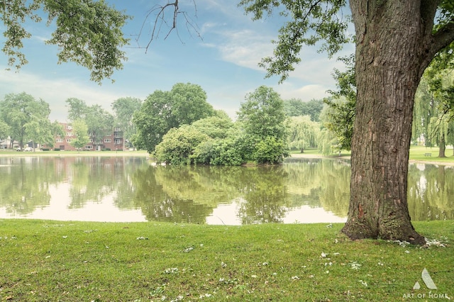101 N Peartree Ln Unit 101, Arlington Heights, IL 60004 - water view