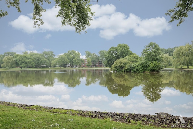 101 N Peartree Ln Unit 101, Arlington Heights, IL 60004 - water view