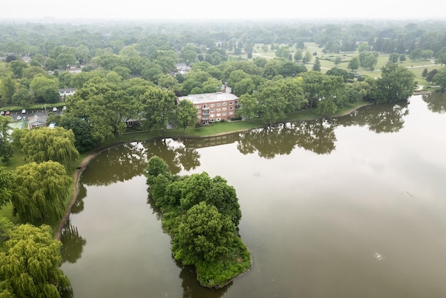 101 N Peartree Ln Unit 101, Arlington Heights, IL 60004 - bird's eye view of a nearby body of water