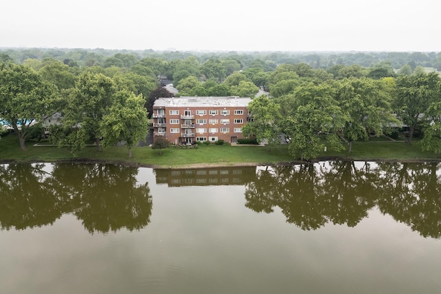 101 N Peartree Ln Unit 101, Arlington Heights, IL 60004 - water view