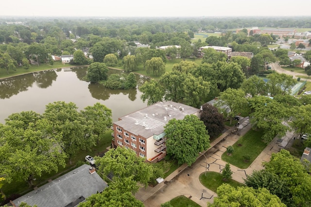 101 N Peartree Ln Unit 101, Arlington Heights, IL 60004 - drone / aerial view of a large body of water