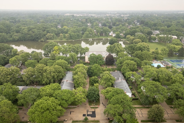 101 N Peartree Ln Unit 101, Arlington Heights, IL 60004 - bird's eye view of a nearby body of water