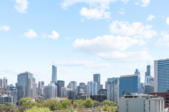 1008 N Larrabee St Unit 2S, Chicago, IL 60610 - skyline view