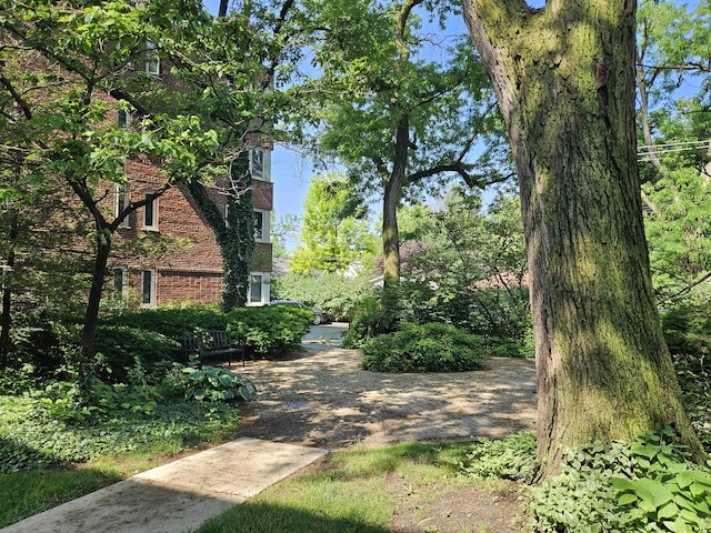 7204 Oak Ave Unit 3Nw, River Forest, IL 60305 - photo 16