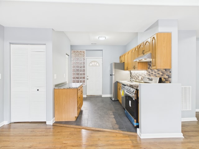1729 E 67th St Unit 2E, Chicago, IL 60649 - kitchen with appliances with stainless steel finishes, under cabinet range hood, wood finished floors, and tasteful backsplash