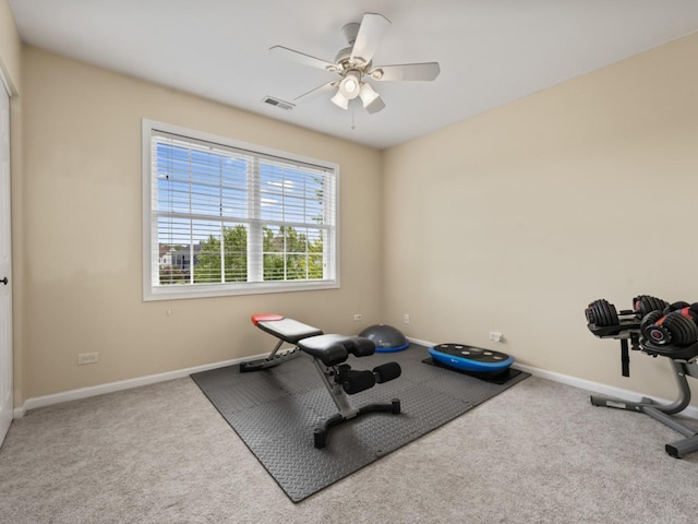 569 Ryan Way, Crystal Lake, IL 60012 - workout room with carpet floors and ceiling fan