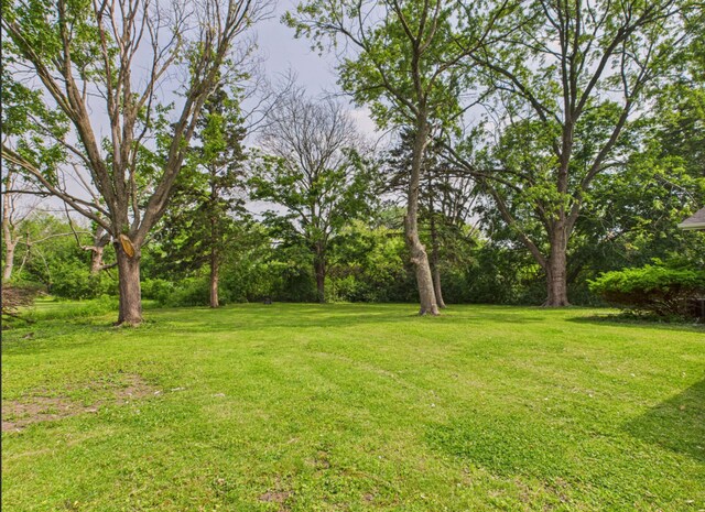 3217 Woodworth Pl, Hazel Crest, IL 60429 - photo 14