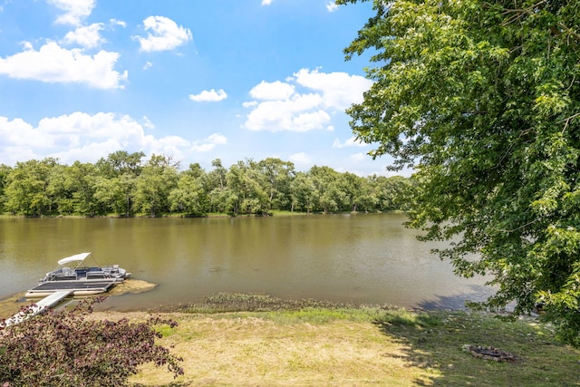 20340 Rt 113th Hwy, Wilmington, IL 60481 - water view featuring a dock and a heavily wooded area